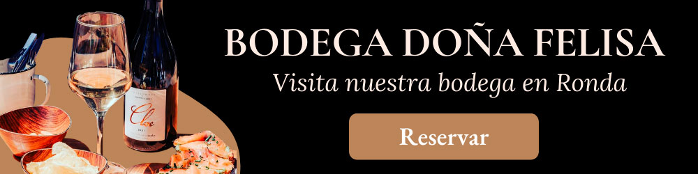 cosas para hacer en ronda bodega