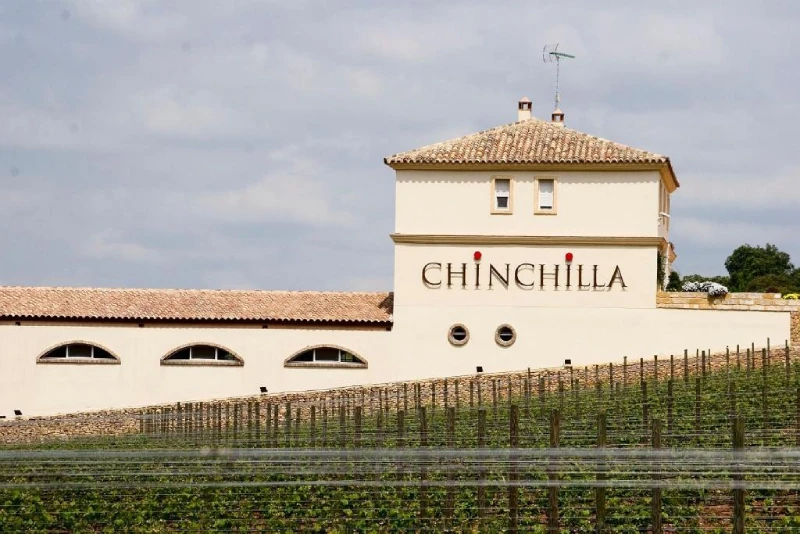 viñedo chinchilla de bodega doña felisa