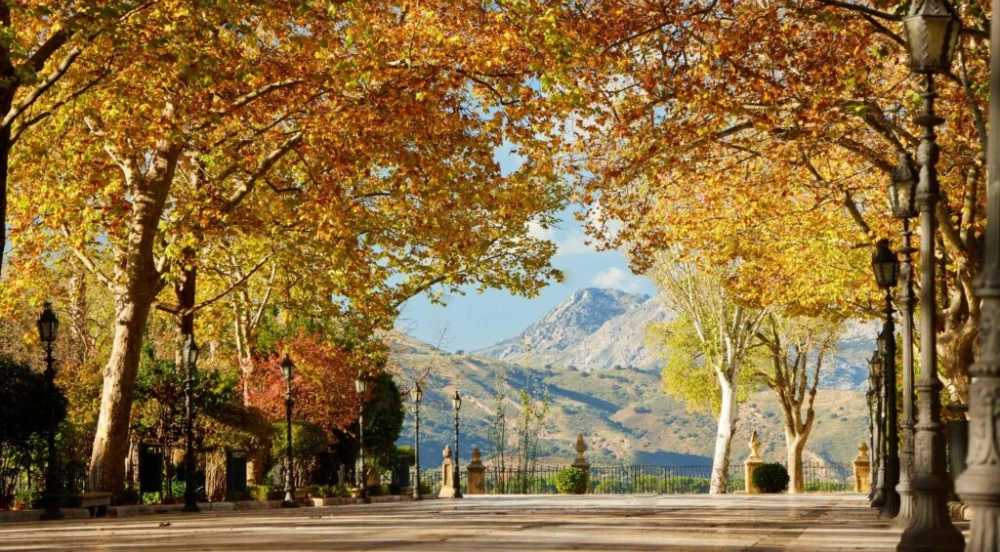 visit ronda in autumn