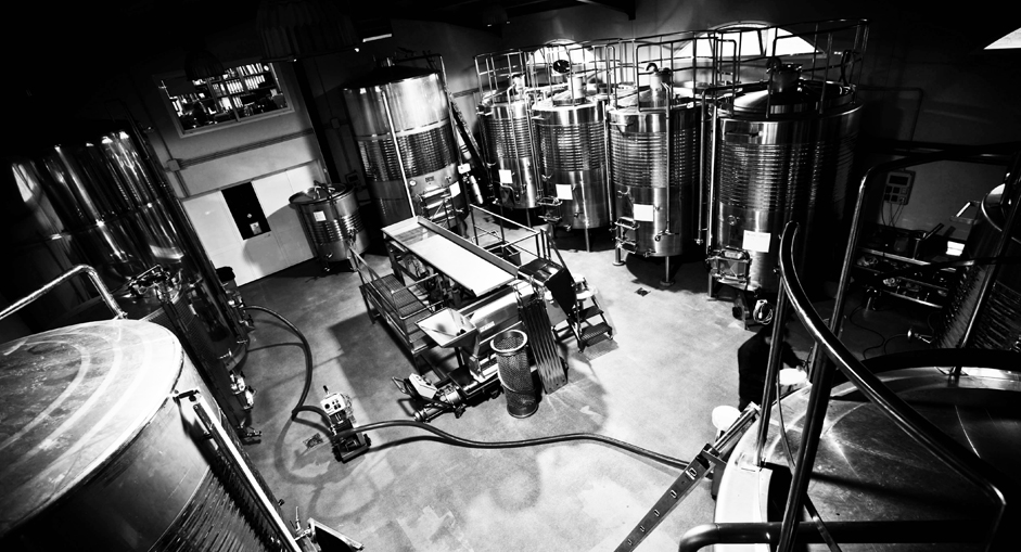 bodega-dona-felisa-sala-elaboracion