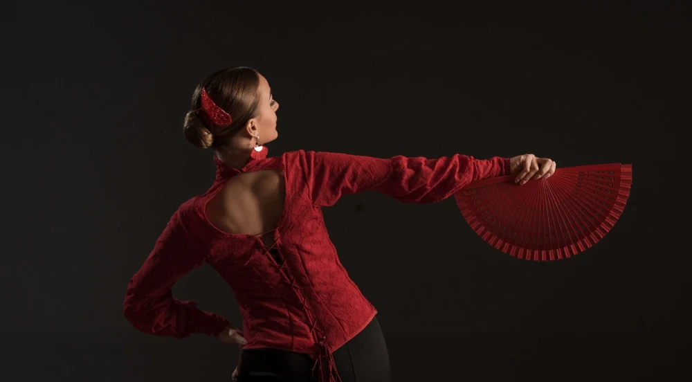 flamenco en ronda