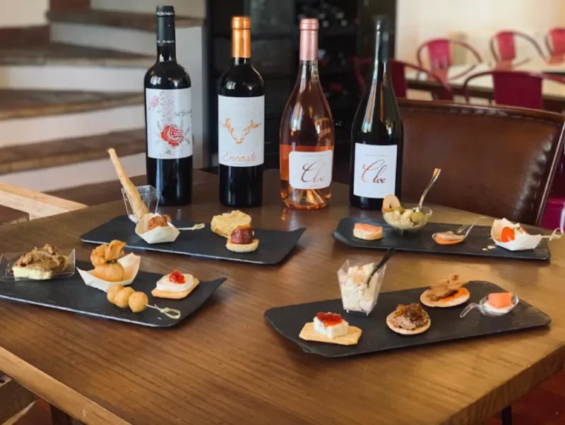 cata de vinos en pareja en bodega doña felisa