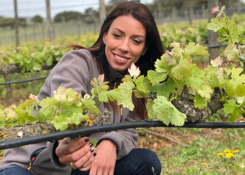 visitar bodega doña felisa en ronda