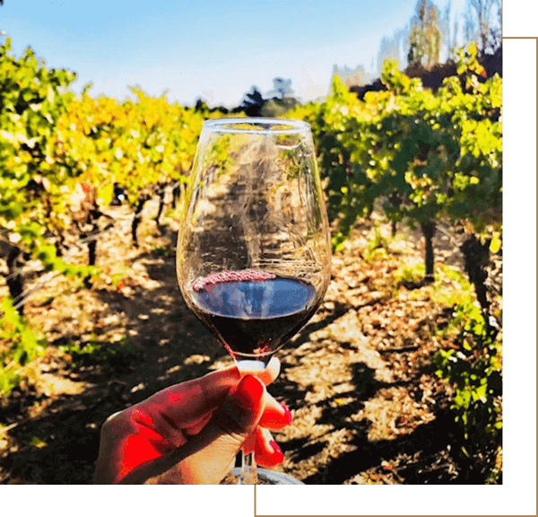 wine tourism in Ronda